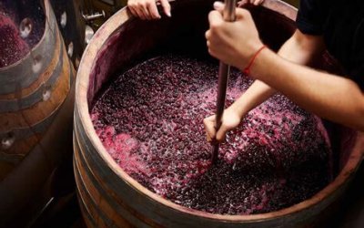 OIP-3619637452.P3aBWBbau6xlGoeB9X6ImwHaE6